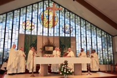 Concelebrating priests