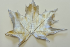 leaf