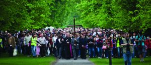 Read more about the article Walk the Way of the Cross: Two Opportunities