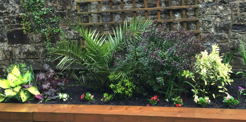 Read more about the article Reflective Garden opens in Celbridge