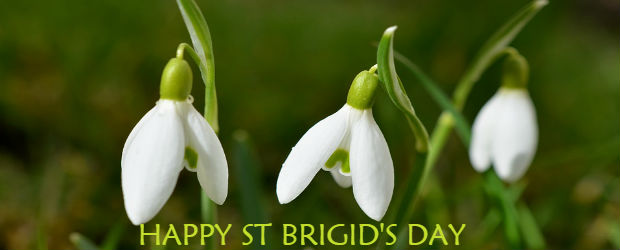 You are currently viewing Happy St Brigid’s Day