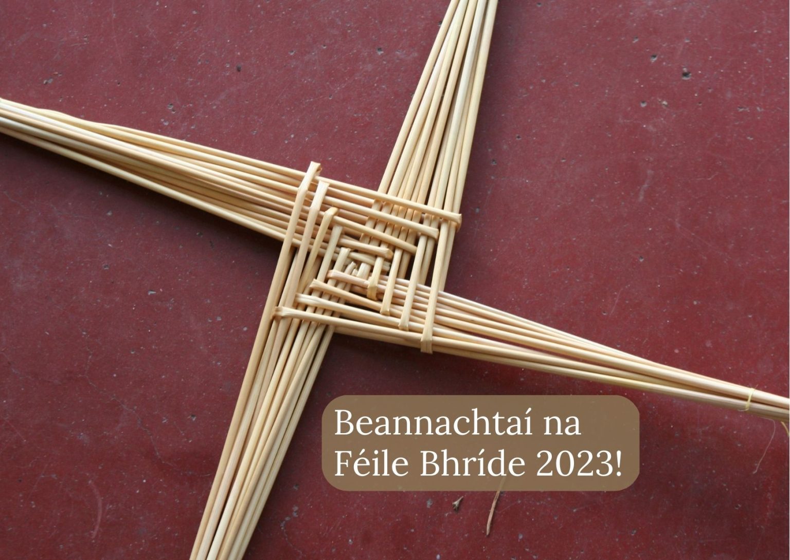 Happy St. Brigid’s Day 2023