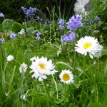 Let Nature Breathe This May!