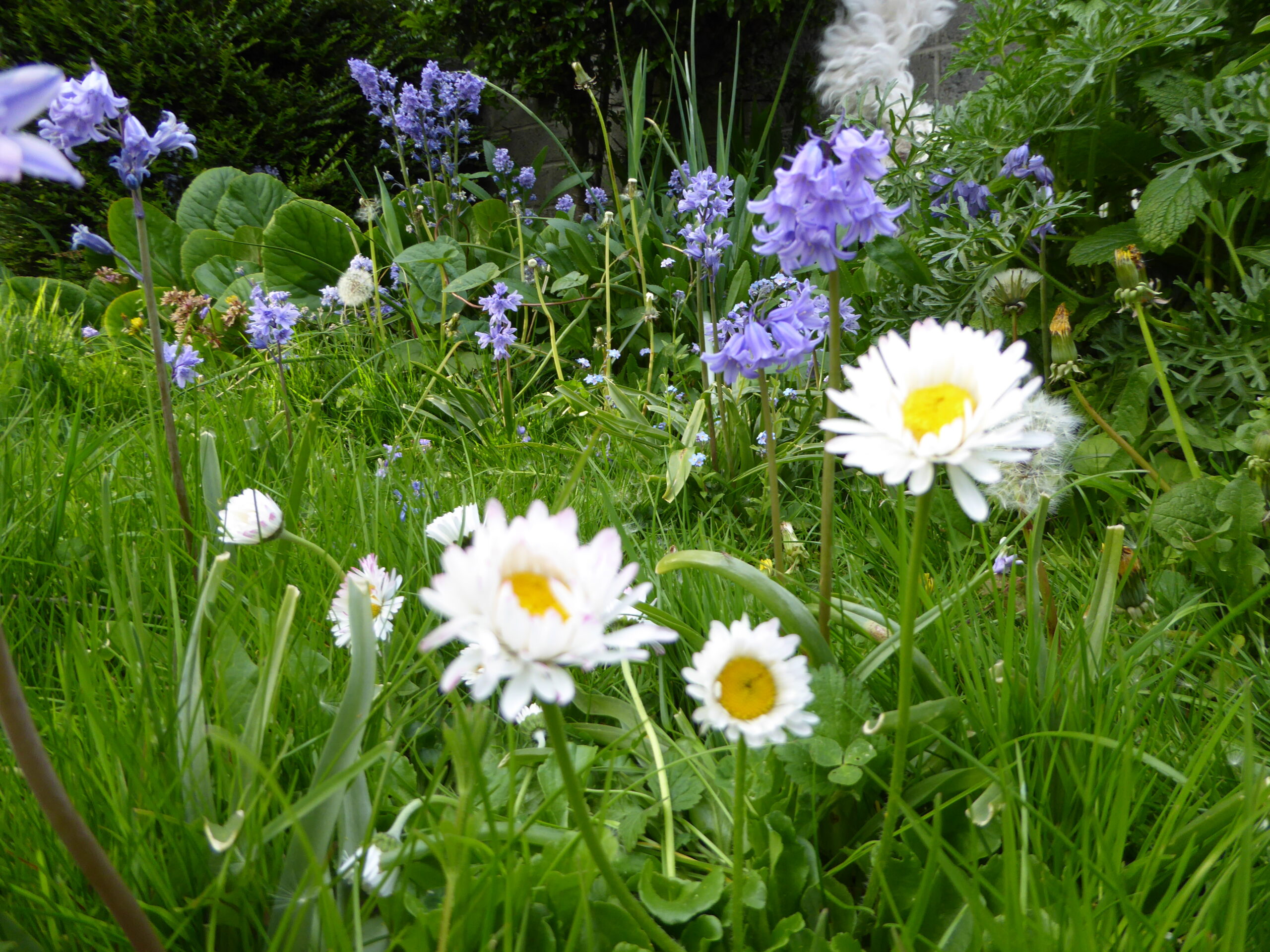 Read more about the article Let Nature Breathe This May!